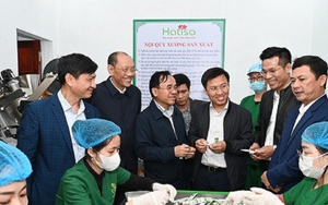 9 công chức, viên chức một sở ở Hà Tĩnh xin nghỉ hưu trước tuổi