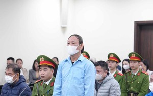 Cựu Chủ tịch NXB Giáo dục Việt Nam 'có công' giúp phá đường dây buôn lậu sách liên quan vụ ông Trần Hùng