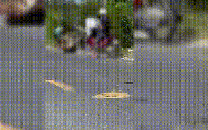 Thông tin mới vụ chồng chém vợ liên tục trên đường ở Cà Mau