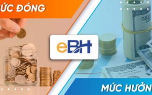 Đề xuất MỨC ĐÓNG BẢO HIỂM Y TẾ bằng 4,5% tiền lương tháng, lương hưu, lương cơ sở, trợ cấp mất sức lao động