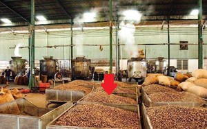Hàng trăm nghìn tấn sản vật của Việt Nam chinh phục hơn 90 nước, vì sao phải nhập hàng từ Campuchia?