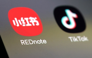 Người dùng TikTok đồng loạt đăng ảnh mèo trên "Tiểu hồng thư": Chuyện gì đang xảy ra?