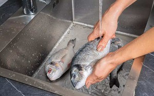 4 sai lầm tai hại khi rã đông cá tưởng “biết rồi, khổ lắm, nói mãi” nhưng nhiều người vẫn mắc mỗi ngày