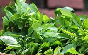 Mẹo làm loãng nồng độ cồn bằng rau xanh, trái cây