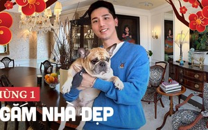 Mùng 1 Tết: Ngắm nhà 7 tầng giữa lòng Hà Nội của trai đẹp 9x, cả chủ cả nhà đều "nghệ cả củ"