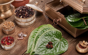 Loại lá người Việt bày thắp hương nhưng ít ăn, Trung Quốc tích cực thu mua: Không ngờ rất nhiều tác dụng
