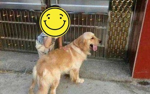 Đi chúc Tết, con trai 5 tuổi biến mất cùng chó Golden: Điều diễn ra sau đó khiến phụ huynh sốc nặng