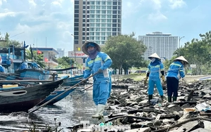 Rác thải ken đặc bãi biển Đà Nẵng sau bão