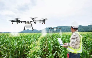 EU đẩy nhanh số hóa nông nghiệp