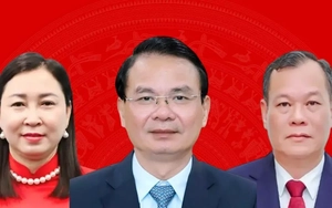 Chi tiết nhân sự Thường trực Tỉnh ủy Ninh Bình nhiệm kỳ 2025-2030