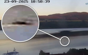 Gặp 'thủy quái' to như xe buýt bơi trên mặt hồ, thợ săn nói: Những gì tôi thấy là độc nhất vô nhị