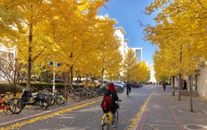 Cảnh tượng ngay lúc này tại Bắc Kinh khiến nhiều người ngỡ ngàng, nhận xét: "Không thể diễn tả nổi!"