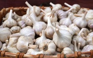 Đầu bếp chỉ cách bảo quản tỏi tươi lâu suốt 6 tháng - không phải để trong tủ lạnh