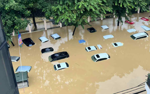 Ở Việt Nam có thứ to bằng cái cặp táp nhưng khắc chế được ngập lụt, rẻ hơn sửa thủy kích hàng chục lần