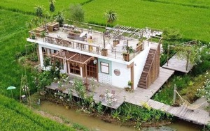 2 người bạn thân U45 bán nhà ở phố về quê xây homestay dưỡng già, nửa năm sau ngồi khóc: Đây là địa ngục