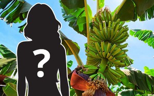 "Mỹ nhân đẹp nhất thế giới" phải cúi mình cưới cây chuối rồi mới được làm dâu hào môn