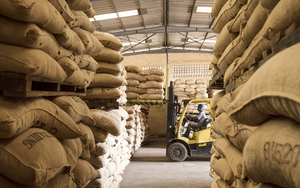 Hàng nghìn tấn hàng của Việt Nam liên tục đổ bộ Campuchia với giá đắt đỏ: xuất khẩu tăng hơn 300%, nước ta là ông trùm lớn thứ 2 thế giới