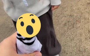 Đón con 3 tuổi đi học về, cha mẹ hoảng hồn phát hiện "vật thể lạ" trong tất của con