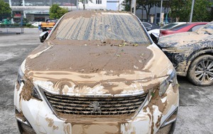 Gần 300 cuộc gọi chờ giải cứu: VETC miễn phí cứu hộ và kéo xe, kêu gọi cả nước chung tay vì Thái Nguyên