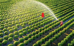 Một tổ chức của LHQ: VN đủ khả năng giúp nhiều nước tăng năng suất trong lĩnh vực đóng góp hơn 12% GDP