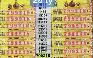 Mua vé số online, người phụ nữ ở Cần Thơ trúng gần 26 tỉ đồng