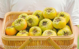 Mua hồng giòn về, không muốn ăn bị chát đắng thì cứ theo 4 mẹo này đảm bảo chín đều, ăn lại ngọt đậm đà