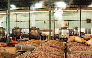 'Sản vật trời ban' giúp Việt Nam xuất khẩu bỏ xa thế giới: Được người Trung Quốc thừa nhận 'ăn đứt' hàng nội, thu về hàng tỷ USD từ đầu năm