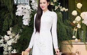 Hoa hậu Đỗ Thị Hà dạm ngõ, "Tập đoàn Sơn Hải" lên top 1 Google Trending