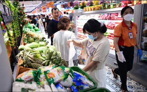 Thu nhập trung bình của 8.685.607 người dân Hà Nội là bao nhiêu triệu đồng/tháng?