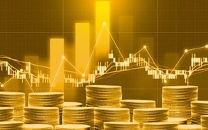 Vì sao tỷ phú Warren Buffett không bao giờ coi vàng là khoản đầu tư dài hạn?