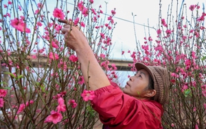 Đề xuất nghỉ Tết Nguyên đán 2026 kéo dài 9 ngày