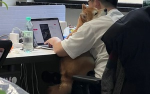 Thấy trống rỗng khi đi làm chỉ vì 50 triệu mỗi tháng