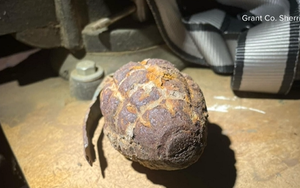 Bé trai 3 tuổi phát hiện ra "điều khủng khiếp" trong sân nhà khiến cả thị trấn căng thẳng