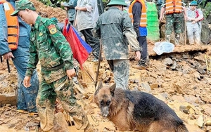 Huy động hơn 200 người và chó nghiệp vụ tìm 4 nạn nhân sạt lở ở Tuyên Quang