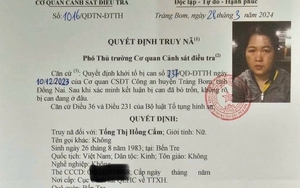 Truy nã Tống Thị Hồng Cẩm