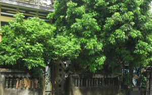 3 chi tiết trong nhà tưởng vô hại nhưng khiến tài vận cứ trôi đi