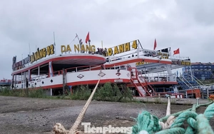 Nước sông Hàn dâng cao, du thuyền tiền tỷ kéo nhau đi 'núp' bão sớm