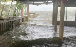 Chưa đổ bộ, bão số 12 đã gây triều cường, nhiều nơi ven phá Tam Giang ngập sâu