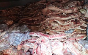 Triệt phá 5 kho lạnh chứa 37,4 tấn thịt lợn chết, nhiễm bệnh: Bác sĩ cảnh báo loạt nguy cơ độc hại