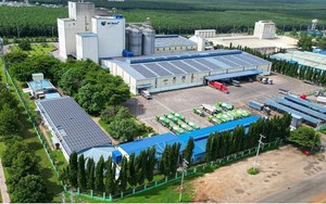 DN Hà Lan rót 10.000 tỷ, biến Việt Nam thành trung tâm nông nghiệp công nghệ cao tiêu biểu Đông Nam Á