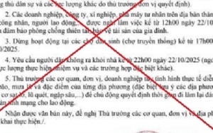 Đà Nẵng bác thông tin cho cán bộ nghỉ làm, dừng hoạt động chợ tránh bão