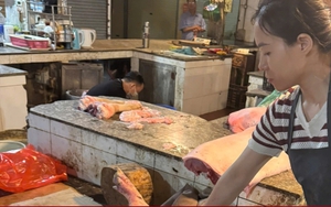 Kỹ sư thú y tiếp tay bán hơn 60 tấn lợn bệnh cho người dân làm thực phẩm