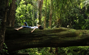 Bí mật của “liệu pháp xanh” đang lan tỏa toàn cầu: Chữa lành con người và hồi sinh mẹ thiên nhiên