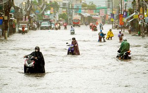 Tin mới nhất bão số 12: Cảnh báo khẩn đến 4 địa phương