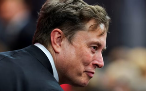 Lợi nhuận Tesla giảm 37%: Elon Musk mải mê với dự án mới, mất dần hứng thú với xe điện