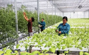 Điều kiện để Việt Nam tham gia thị trường carbon quốc tế