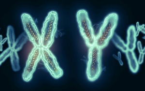 Mang hình hài nữ suốt 21 năm, xét nghiệm bỗng phát hiện là đàn ông khiến cả gia đình sững sờ