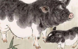 4 con giáp đầu năm vất vả, cuối năm đổi vận, tiền đầy túi, tài lộc không đếm xuể từ tháng 9 Âm lịch