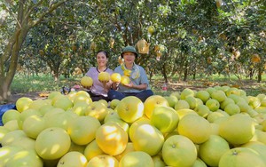 'Đệ nhất danh quả' Hà Tĩnh được chọn trong tiệc cưới Đỗ Thị Hà