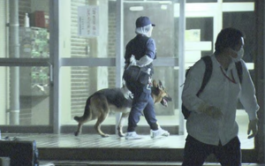 Bất ngờ danh tính nghi phạm sát hại người phụ nữ Việt Nam trong căn hộ tại Nhật Bản